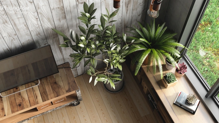 interiorismo asia olivo plantas macetas