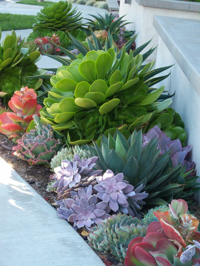 bonita combinación de plantas bonita combinación plantas jardin