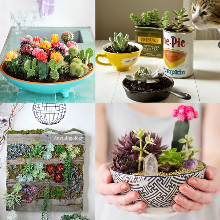 estupendas ideas para decorar con plantas estupendas ideas decorar plantas suculentas