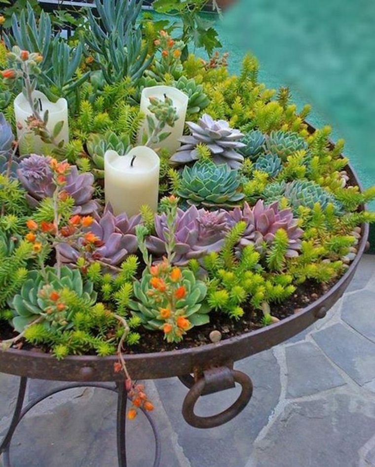 original candelabro con velas estupendo plato plantas jardfçin suculentas