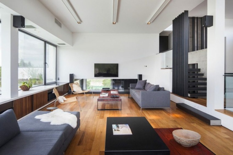 fotos-dsalones modernos casa rampa argentina andres remy arquitectos ideas