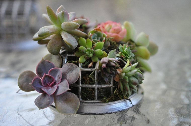 ideas para decorar ideas decorativas plantas casa diseno