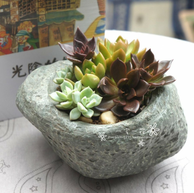 original piedra llena de plantas original piedera macetero plantas