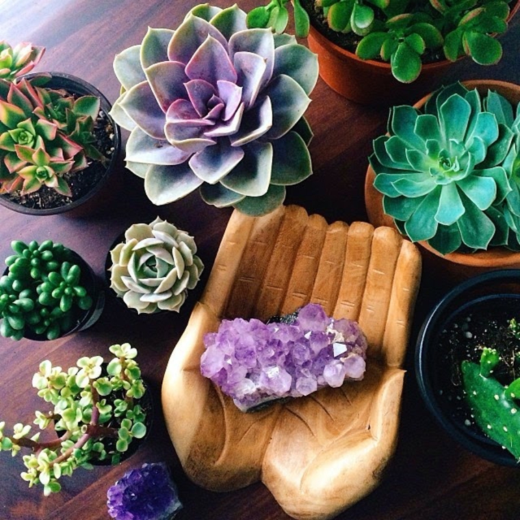 original decoración con plantas de colores original decoración plantas colores