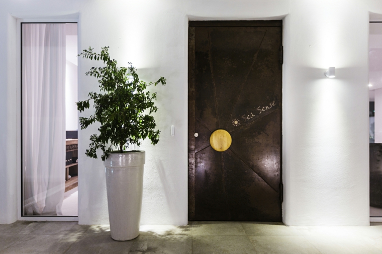 ideas de diseño de luces interior plantas comunes maceteros cortinas fuentes