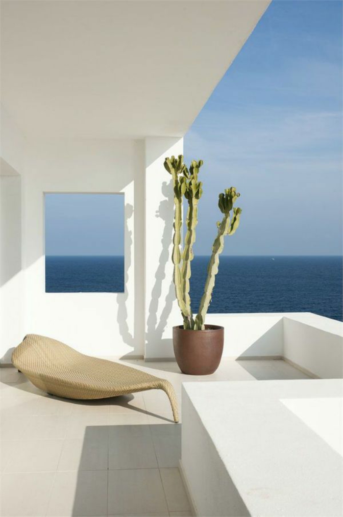 natural fresca casa concepto plantas mar