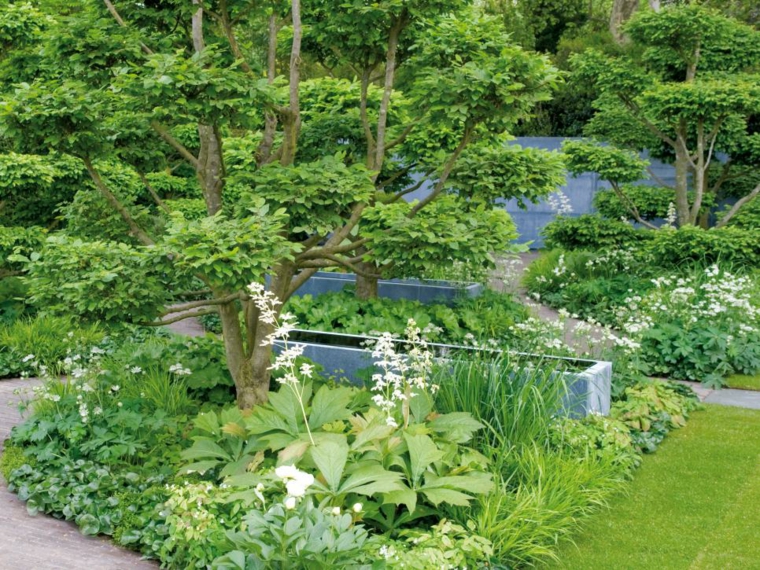 decoracion jardin arboles conceptos muestras verdes