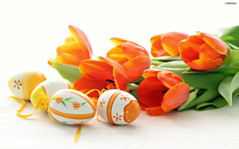 flores de pascua decorar casa