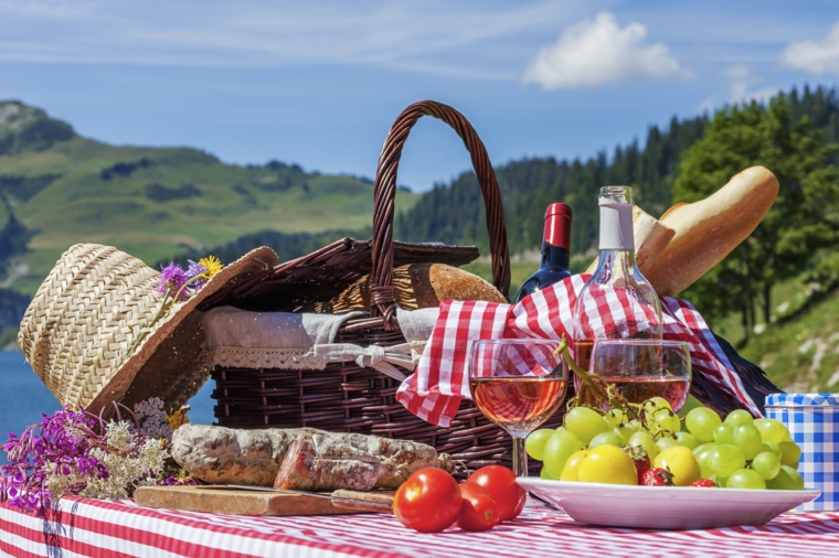 platos para picnic platos para picnic