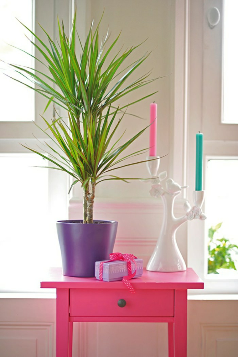 coloridos ambientes estilos conceptos combinaciones