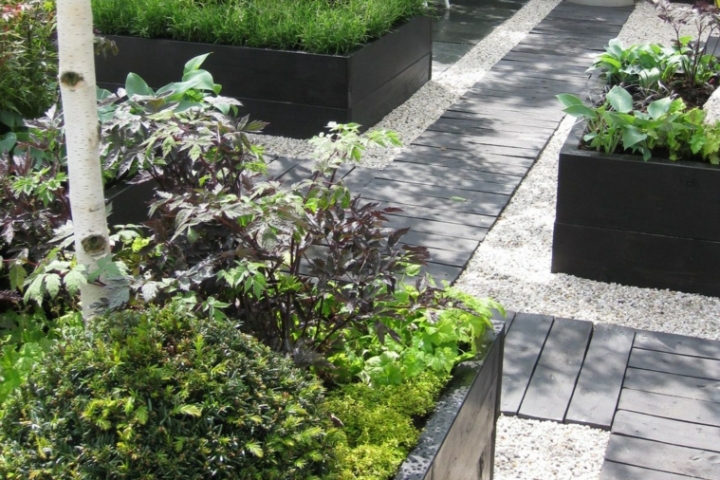 Como hacer un jardín con piedras rocas y plantas