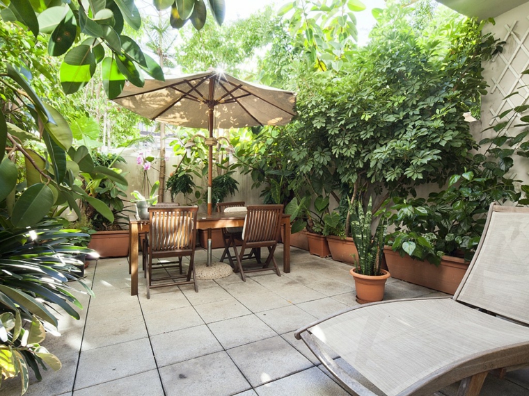 Fotos de jardines pequeños con diseños llenos de vida