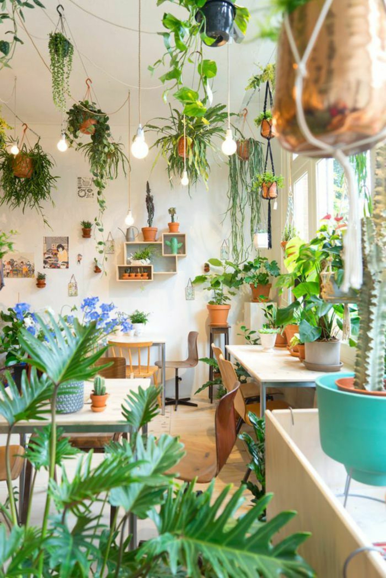 plantas-de-interior-ideas-y-consejos-para-usarlas-en-decoraci-n