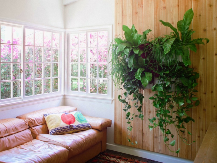 Jardin Vertical Casero Jardines Verticales Caseros Aprende A Dise Arlos Y Mantenerlos Originales Ideas Ideas Originales Para Diseñar Jardines Verticales. Ideas Originales Jardin Vertical Casero Jardines Verticales Caseros Aprende A Dise Arlos Y Mantenerlos Originales Ideas Ideas Originales Para Diseñar Jardines Verticales. Ideas Originales