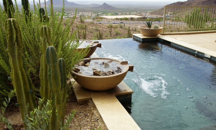 borde infinito con plantas en maceteros y cactus jardines-piscinas-borde-infinito-conceptos-montanas