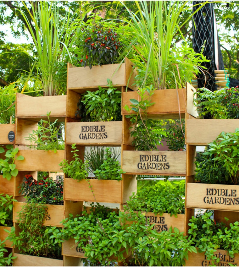 Jardin Vertical Casero Jardines Verticales Caseros Aprende A Dise Arlos Y Mantenerlos Originales Ideas Cajas Madera Jardin Vertical Casero Jardines Verticales Caseros Aprende A Dise Arlos Y Mantenerlos Originales Ideas Cajas Madera