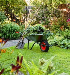 Mantenimiento de jardines y las mejores maneras de realizarlo