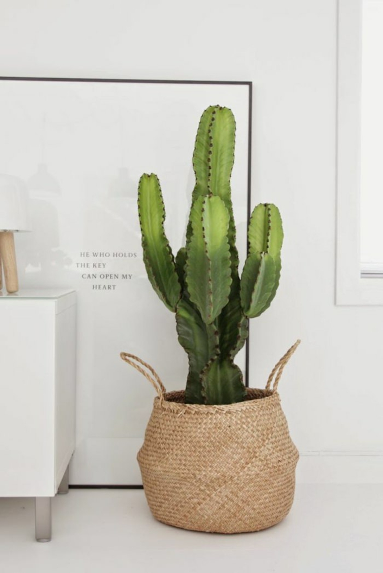 plantadores fibras naturales interiores casas muebles especiales