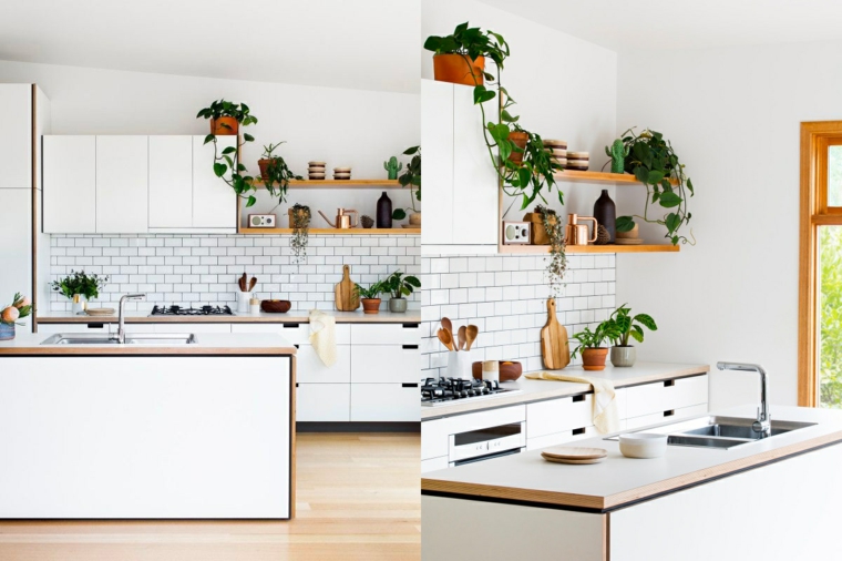 plantas acentos verdes decoraciones muebles pendientes