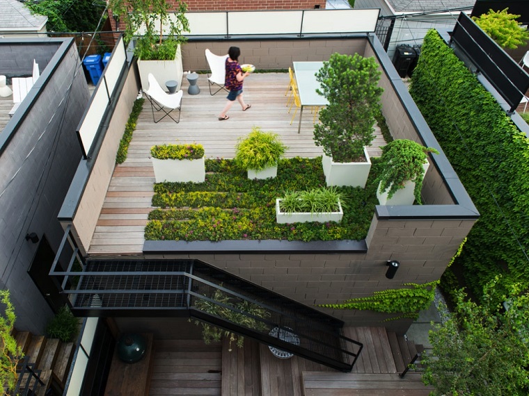 terraza plantas