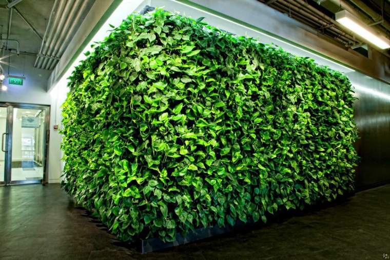 cómo hacer un jardín vertical-pared-angulo