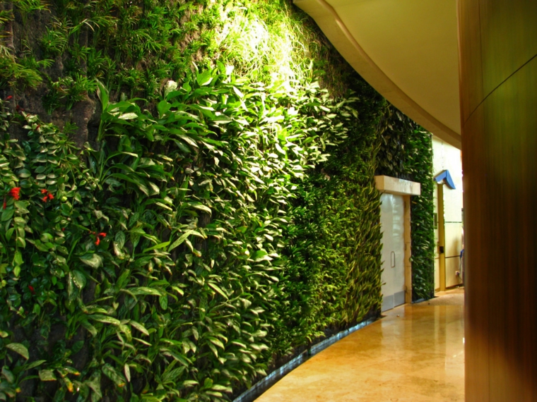 cómo hacer un jardín vertical-pasillo-pared