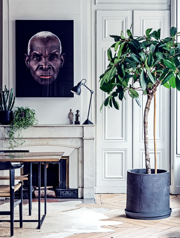 decoracion-casa-plantas-opciones-originales