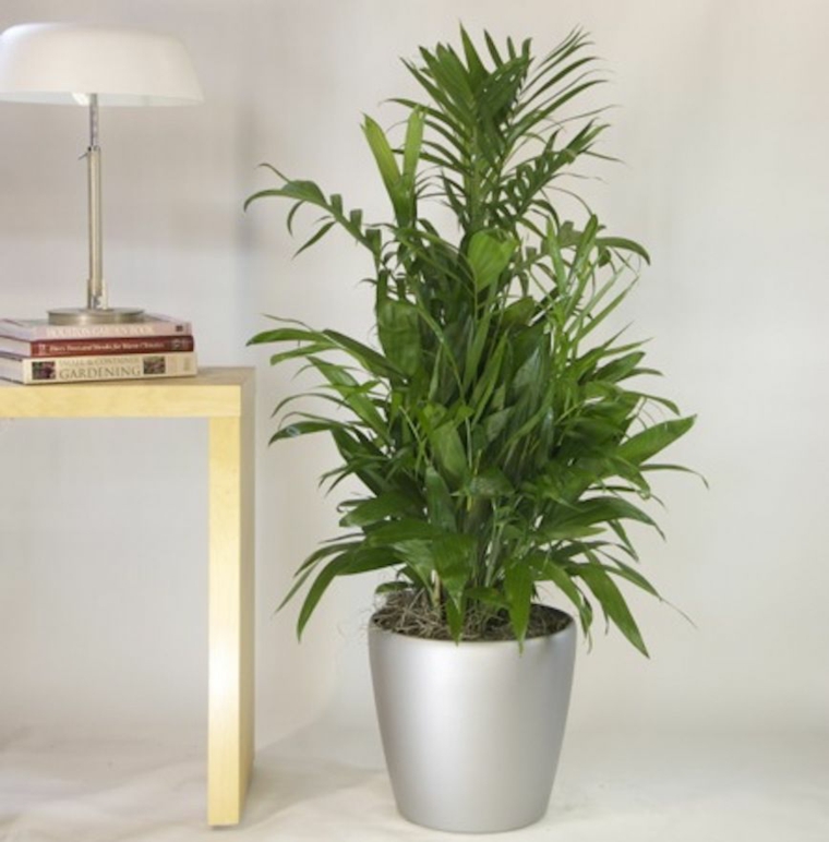 decoracion-feng-shui-salon