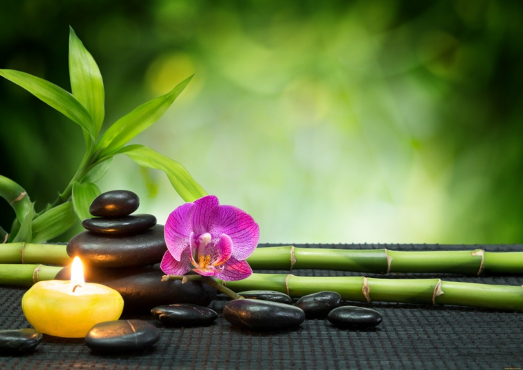 feng shui decoracion