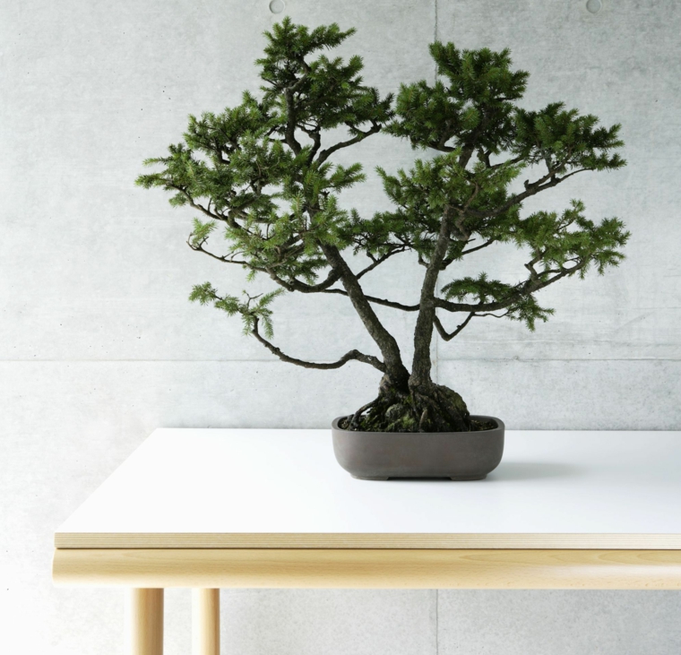 feng shui elemento-tierra-interiores