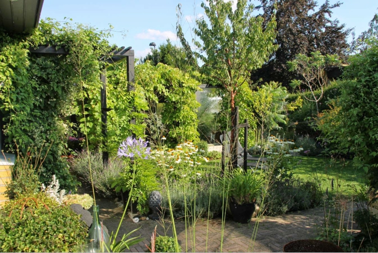jardin-plantas-naturalidad-exterior-decoracion-espejos