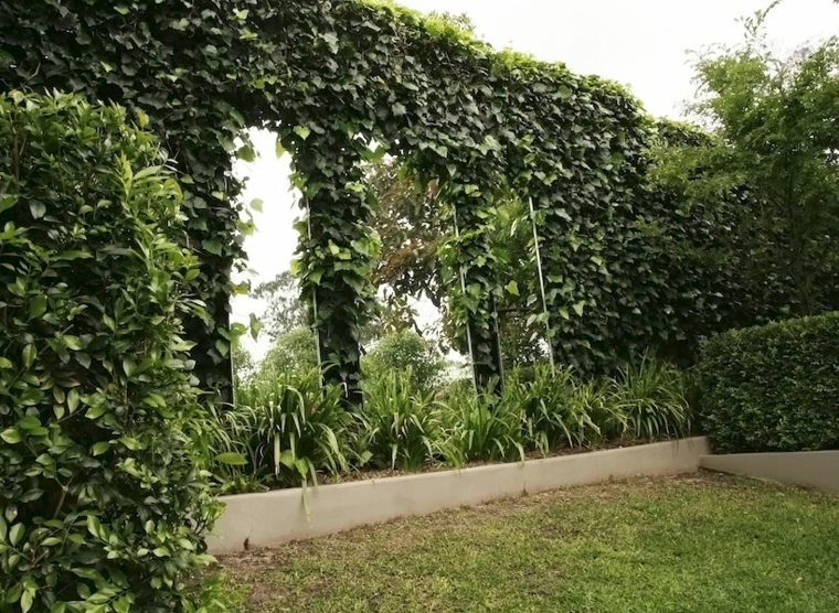jardin-valla-plantas-trepadoras-espejos-grandes-diseno