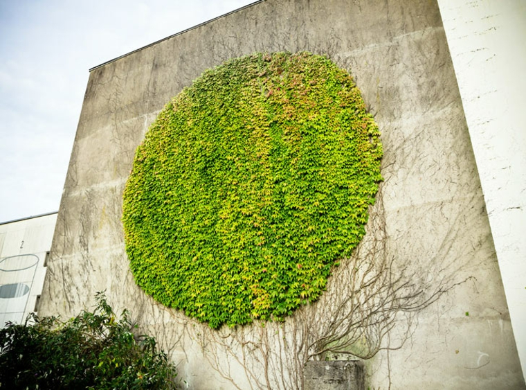 fachada plantas