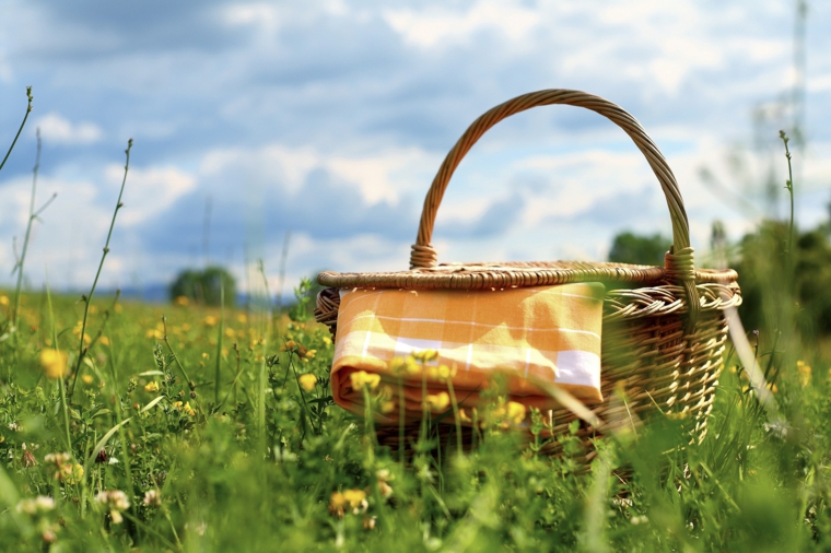 cómo hacer un picinic picnic-ideas-consejos-opciones-verano-escapadas