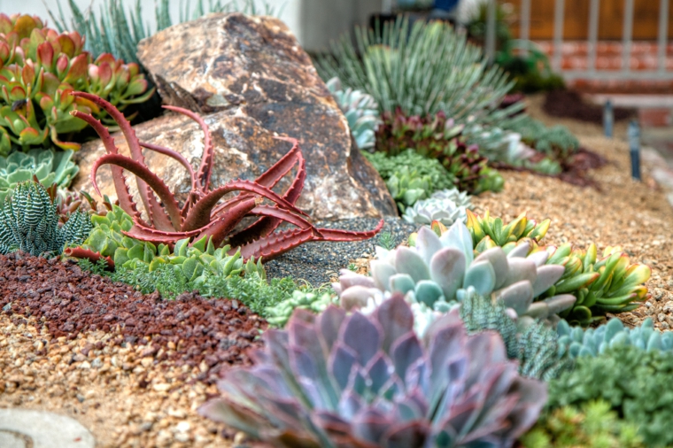 plantas-rocas-cambio-foto-cocina-exterior
