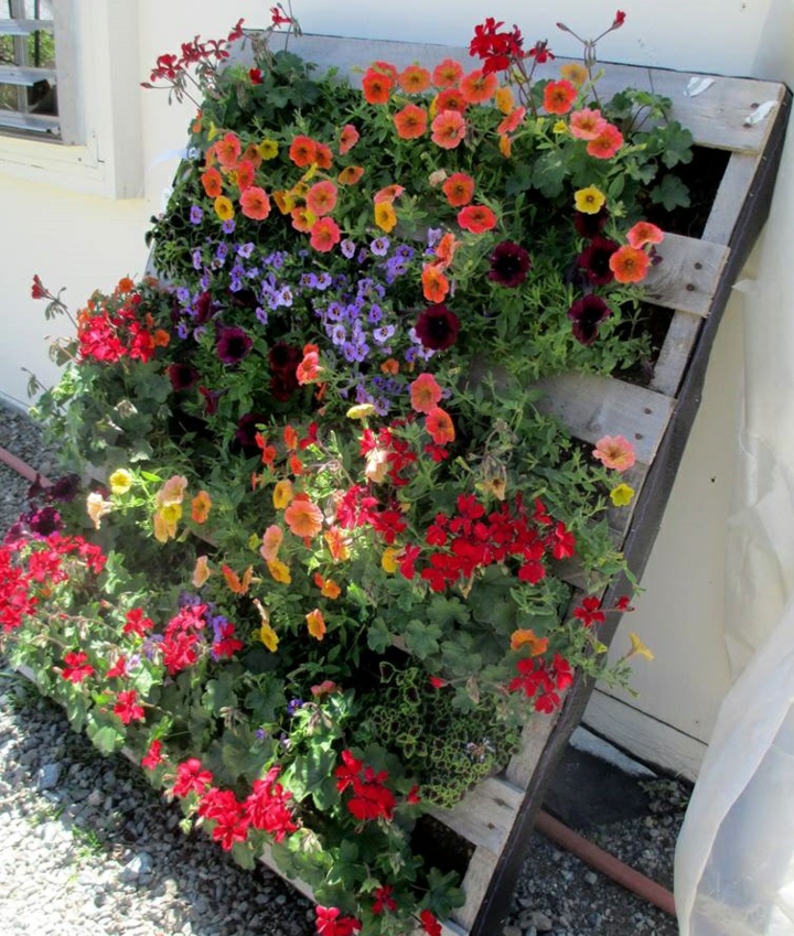 simples-flors-plantadores-elegantes-imagenes