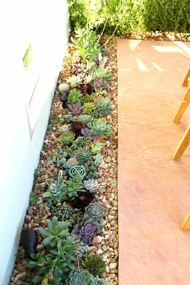 suculentas ideas influencias-verdes-casas