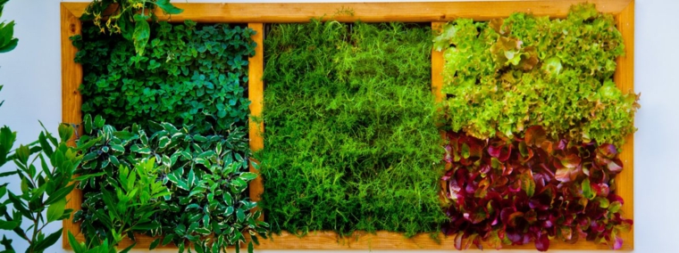 jardines verticales originales