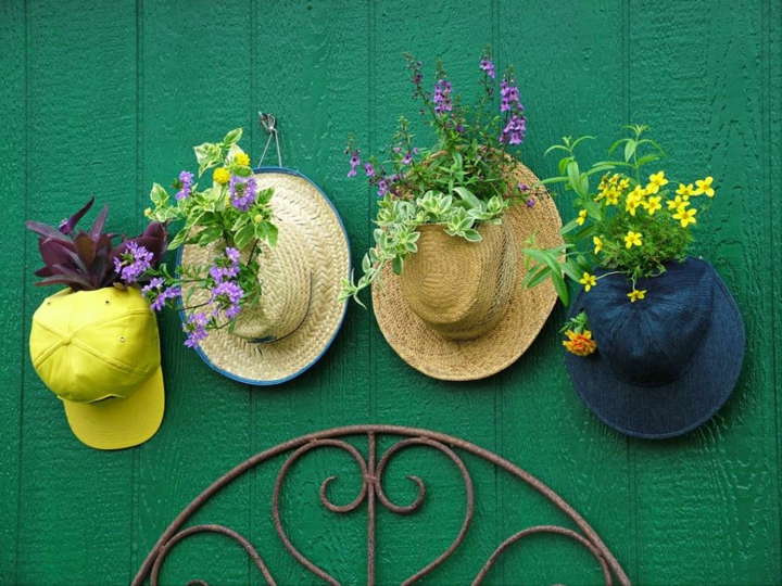 colores sombreros imagenes verde