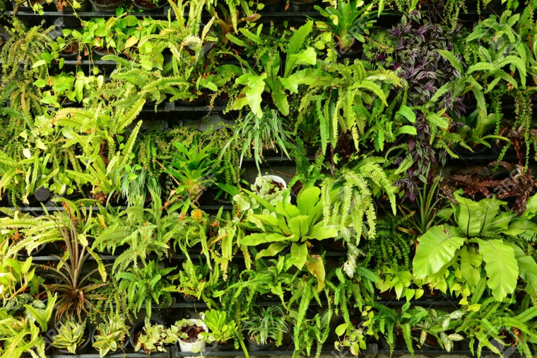 original jardín