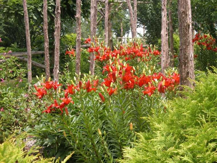 ideas para arreglar un jardín-flores-rojas-diseno