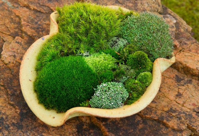 diseños de jardines con piedras y musgo