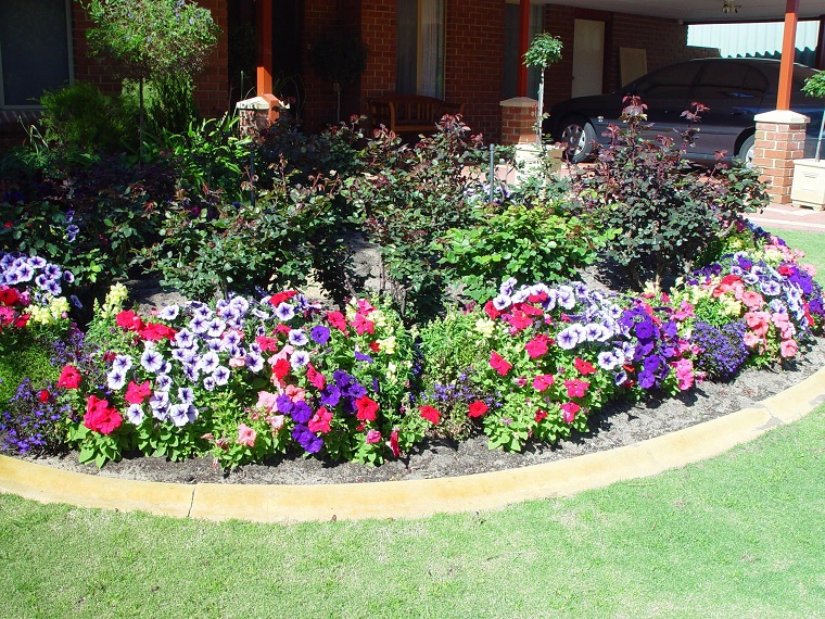 imagenes-de-flores-bonitas-cultivar-jardin