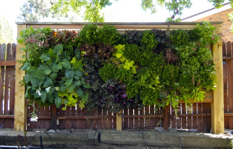valla plantas