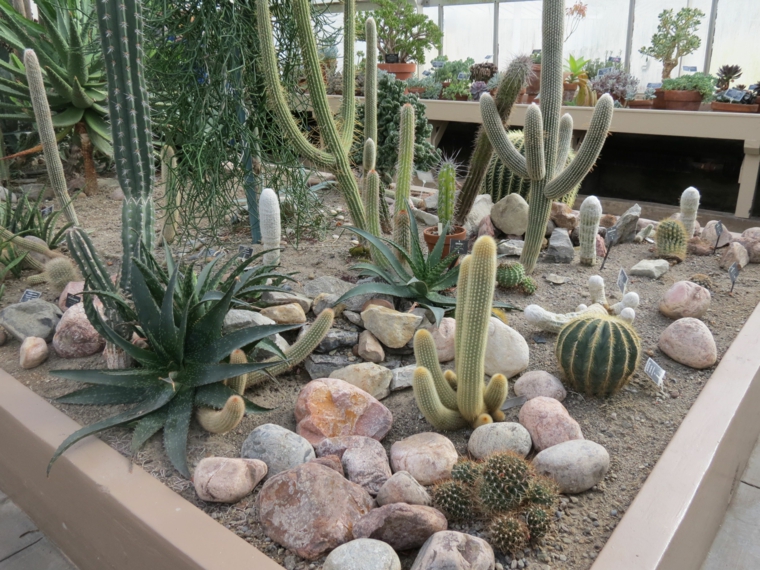 locaciones-plantas-medicinales-ideaa