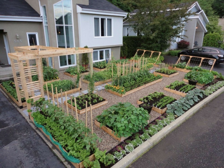 maderas vegetales sitios seguros