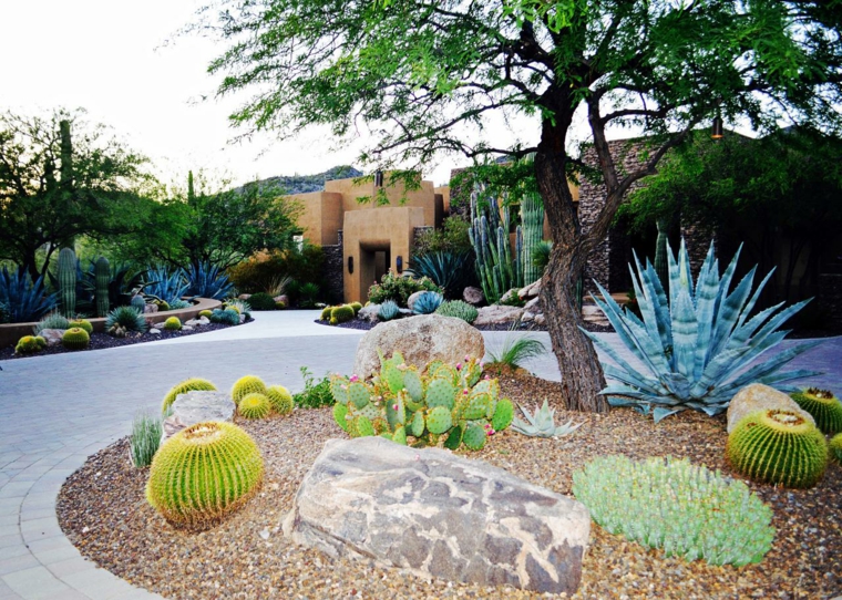 plantas-exteriores-oasis-perfecto-salas