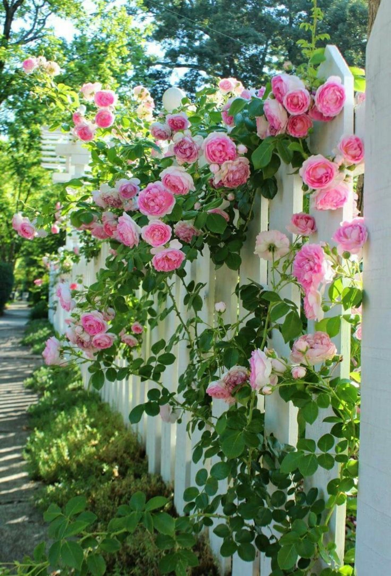 valla rosal