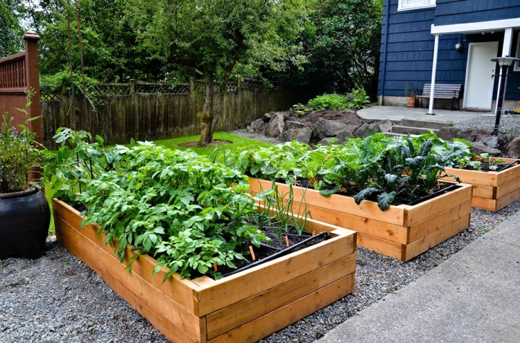 senderos plantas vegetales mansiones