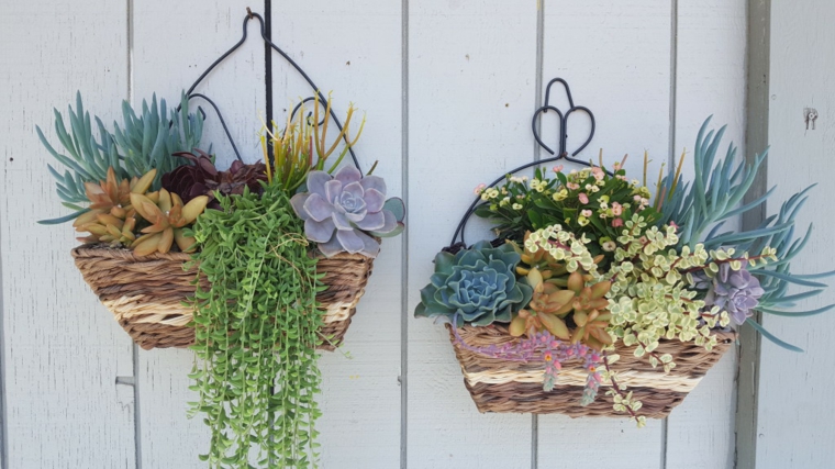 cestos decorativos con plantas